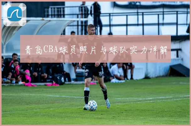 青岛CBA球员照片与球队实力详解