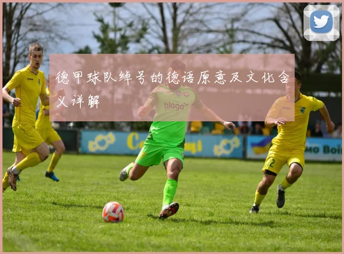 德甲球队绰号的德语原意及文化含义详解