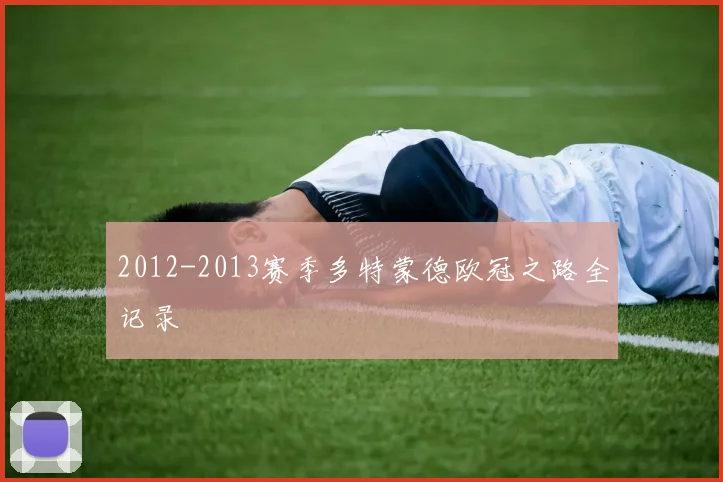 2012-2013赛季多特蒙德欧冠之路全记录